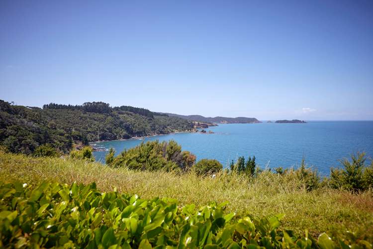 15 Elizabeth Point Road Kawau Island_6