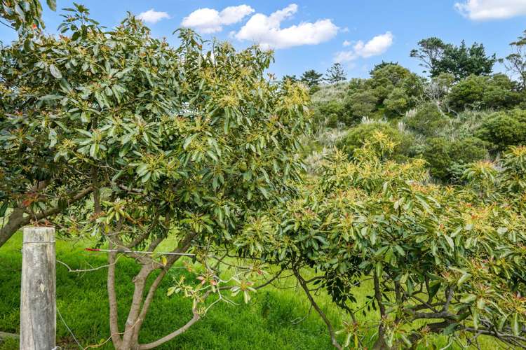 71 Hukatere Road Houhora_19