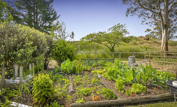 325 Curraghs Road Rolleston_22