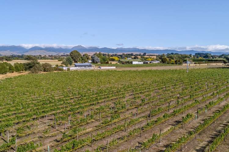 46 Waipipi Road Opaki_16