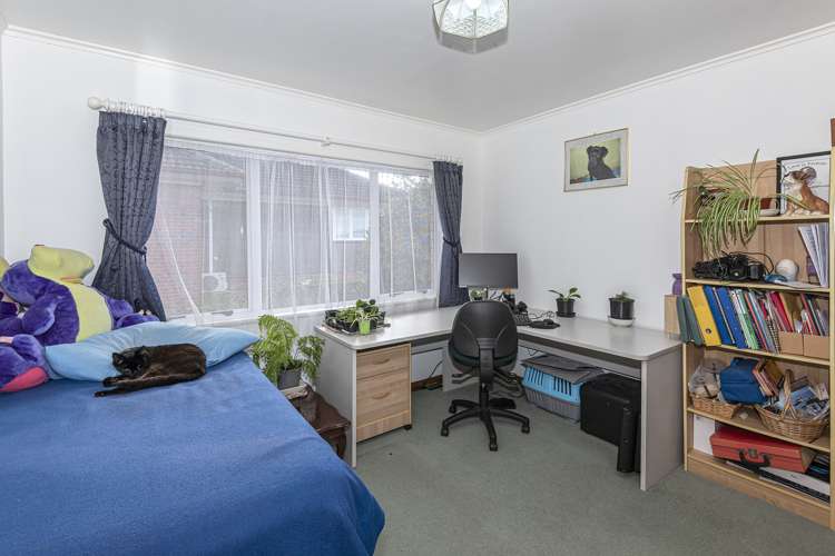 271 Kamo Road Whau Valley_8