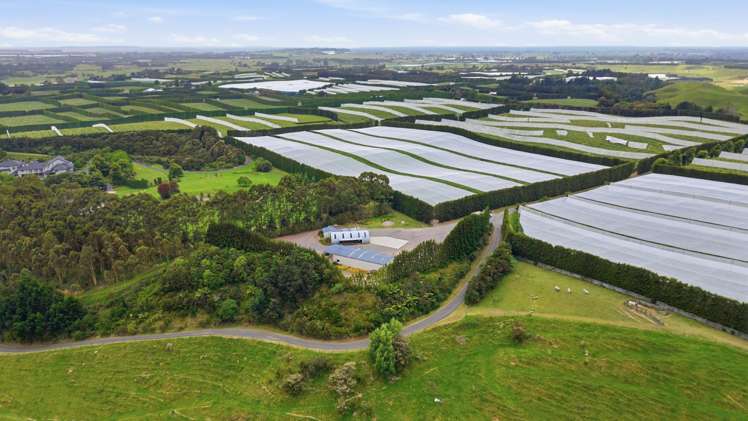 80 Roydon Downs Road Paengaroa_7