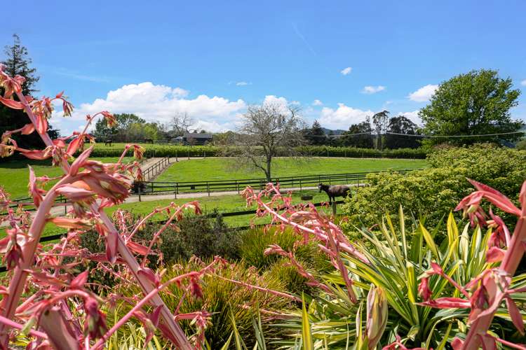 1132b Victoria Road Tauwhare_19