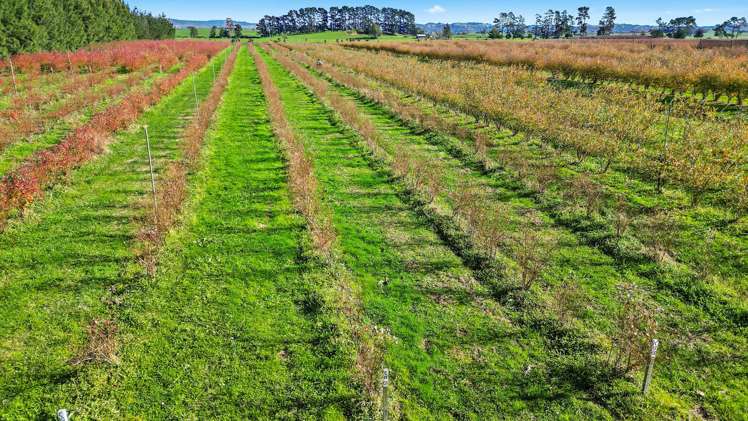 390 O'Regan Road Ngahinapouri_5