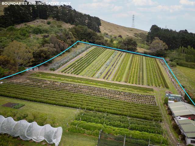 36A Horotane Valley Road Heathcote Valley_2