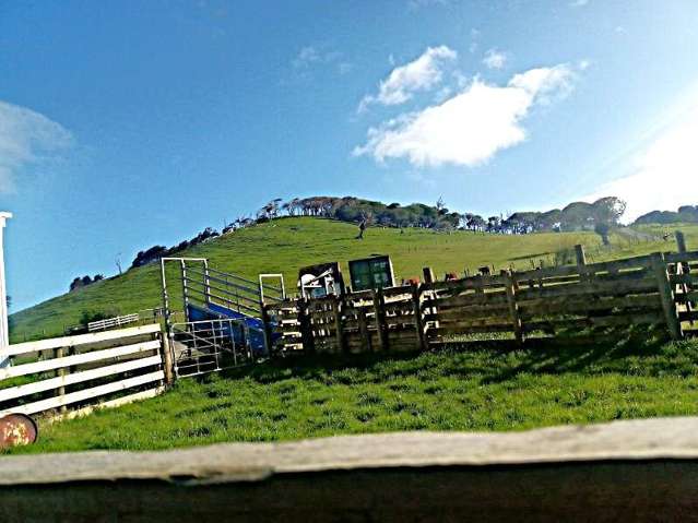 435 Parahi Road Ruawai_2