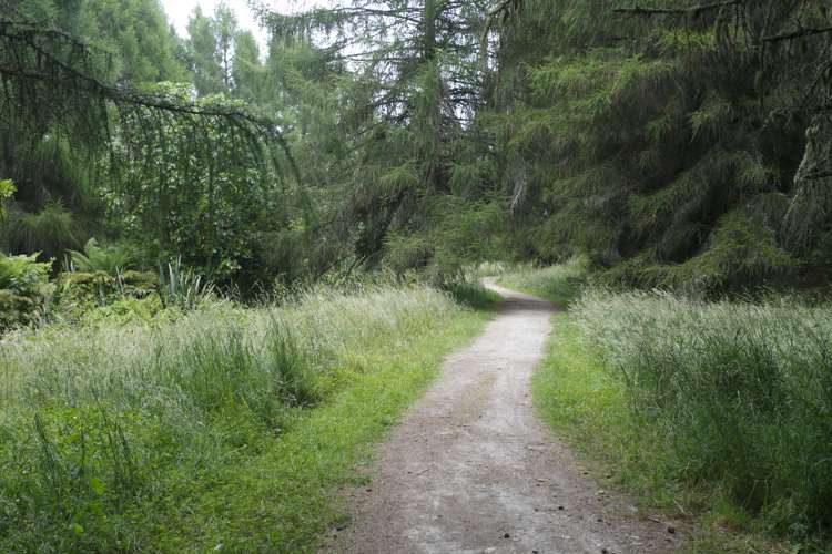 81 Lisland Drive Kinloch_22