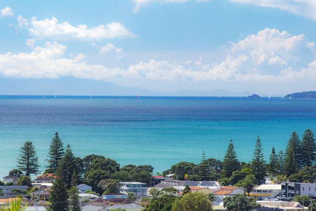 32 Manhattan Rise Orewa_3