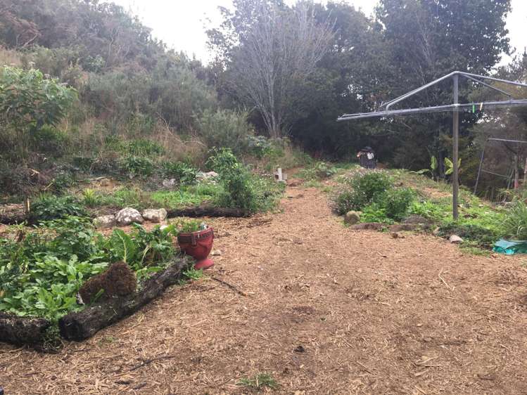 347 Puketotara Road Kerikeri Surrounds_14