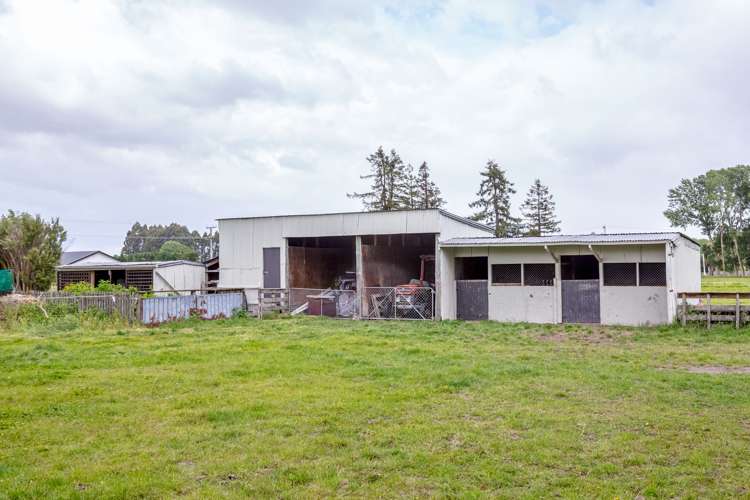 54 Nursery Road Masterton_19