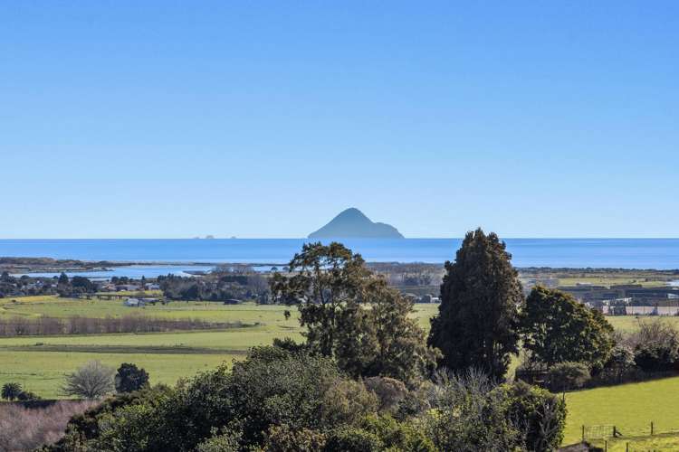 306 Tablelands Road Tirohanga_13