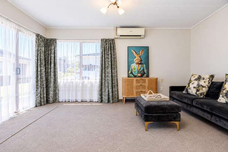 2/159 Wellesley Road Napier South_6