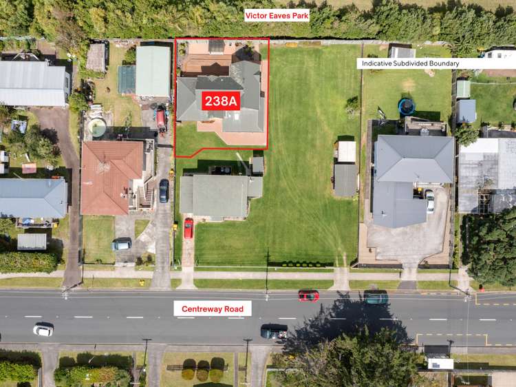 238a Centreway Road Orewa_27