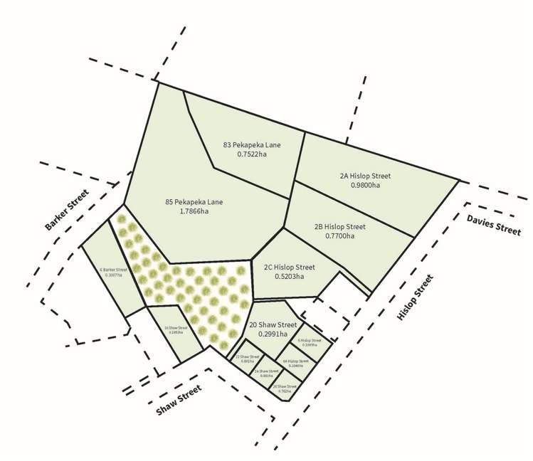 24 Shaw Street Temuka_1