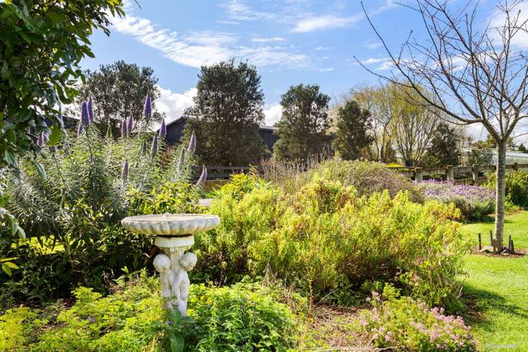 33 William Potter Lane Karaka_25