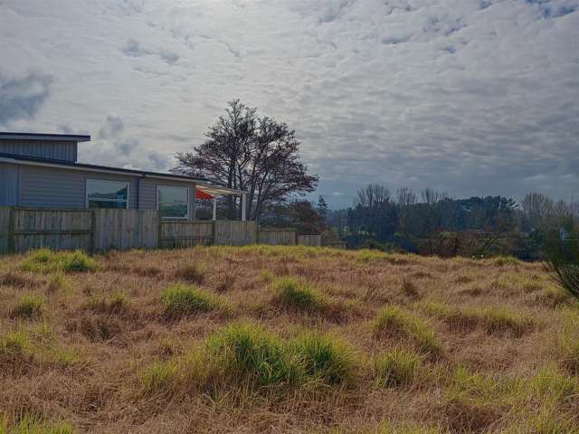 29 North Street Ngaruawahia_2