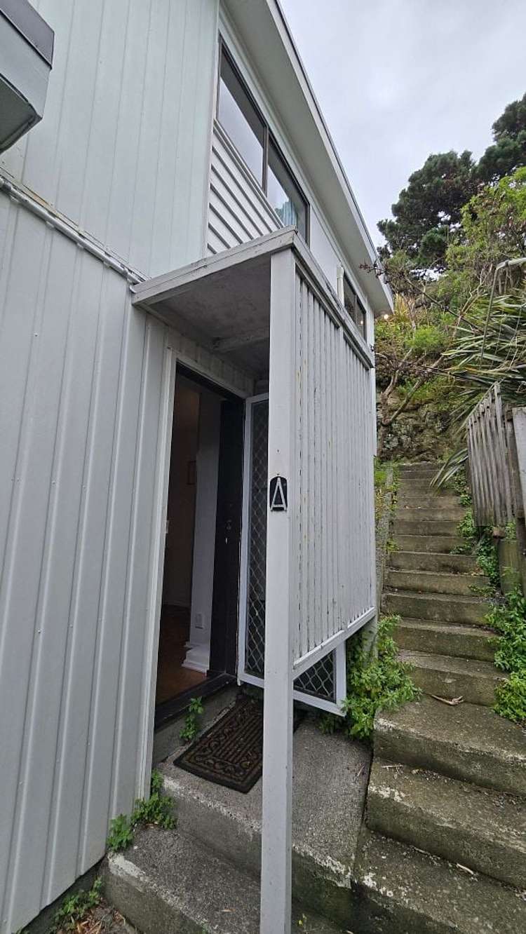 77A Miramar North Road Miramar_12