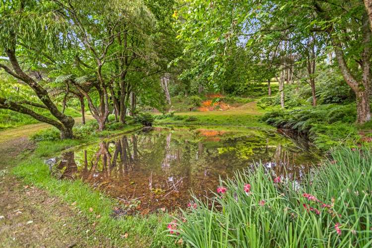 173 Thompsons Track Katikati_18