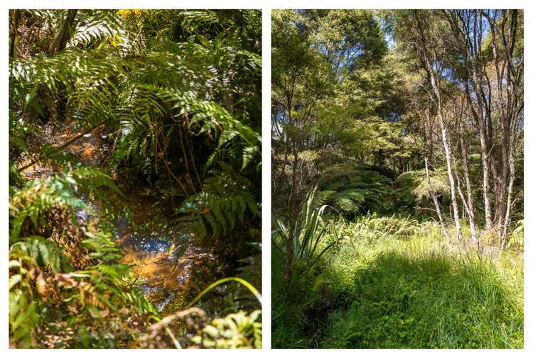 49 Mangotahi Road Thames_29