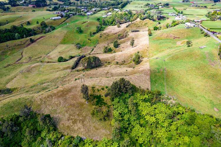 282 Smart Road Hillsborough_30