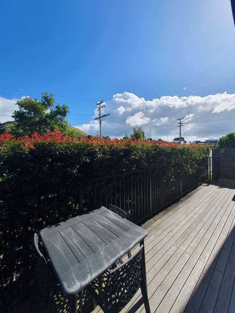 G01/82 Jellicoe Road Panmure_8