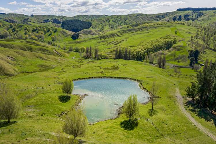 683 Bush Road Wallingford_33