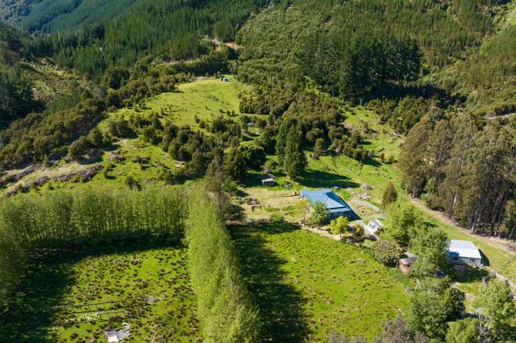 1025 Wakamarina Road Havelock_9