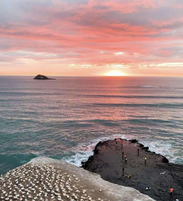 62 Papatupu Way Kumeu_17