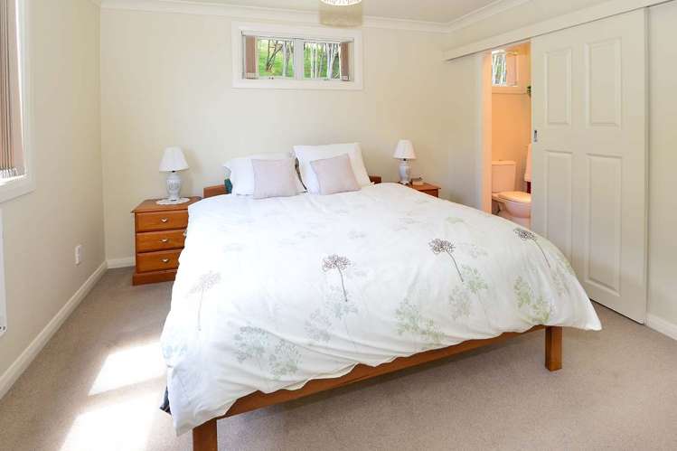 397 Wishart Road Helensville_13