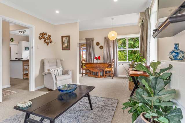 5 Nelson Street Levin_4