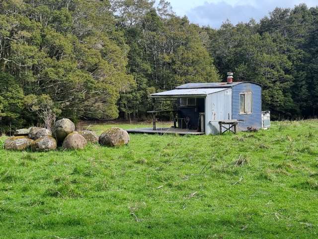 Tahakopa Valley Road Catlins Surrounds_4