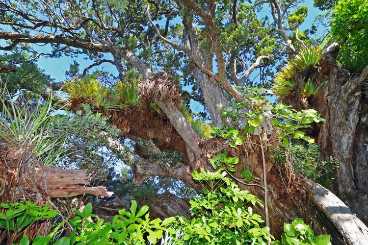 27 Boulder Bay Drive Tuateawa_11