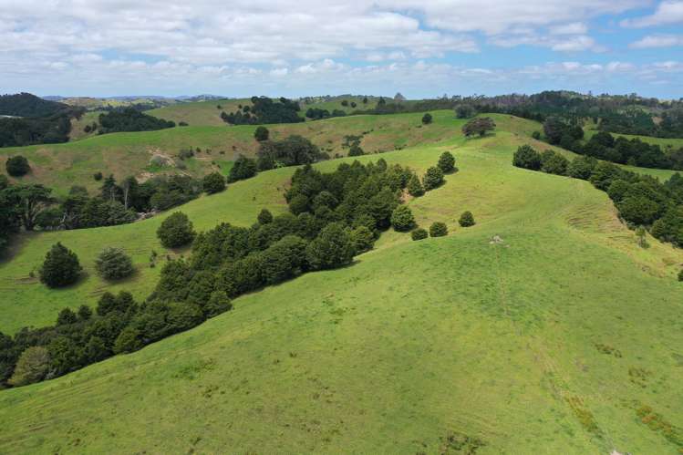 Lot 2/347 Porter Road Paparoa_22