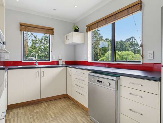 16 Augustus Earle Place Pukehangi_2
