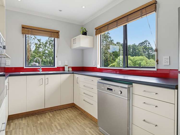 16 Augustus Earle Place Pukehangi_1