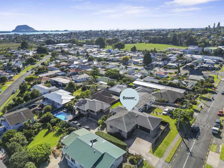 31 Princess Road Bellevue_17