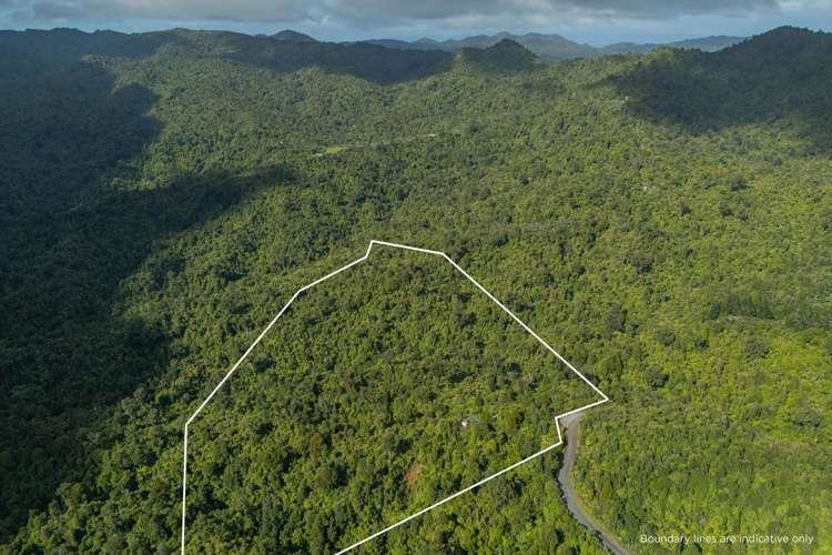 974 The 309 Rd Whitianga_28