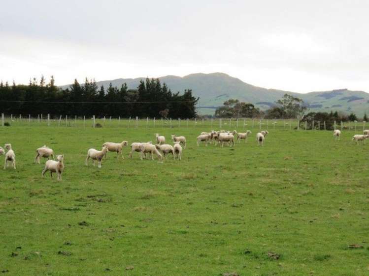 769 State Highway 2 Opaki_15