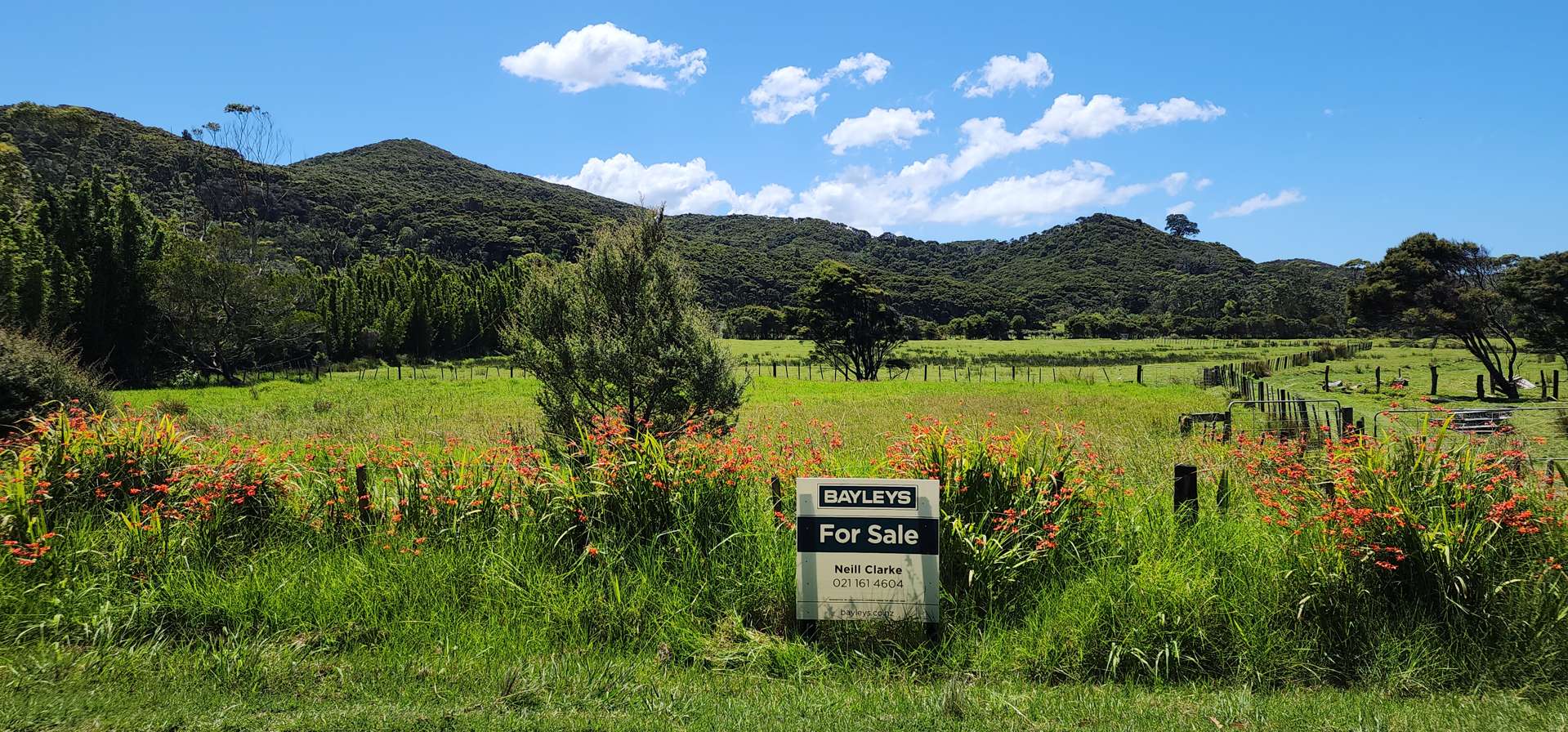 54 Mason Road Great Barrier Island (Aotea Island)_0