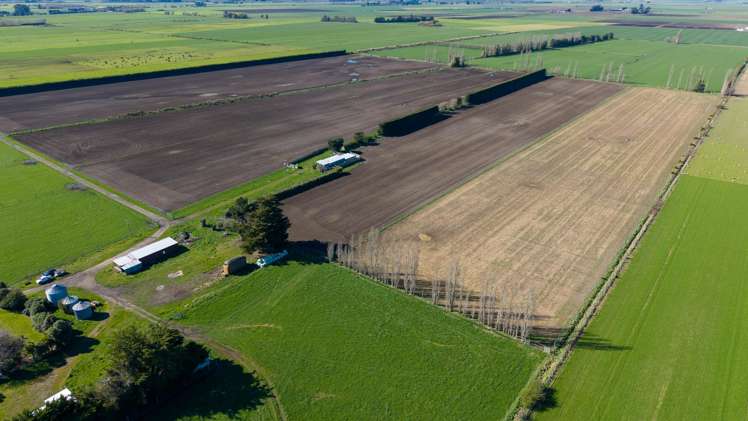 1467 Boundary Road Ashburton_4