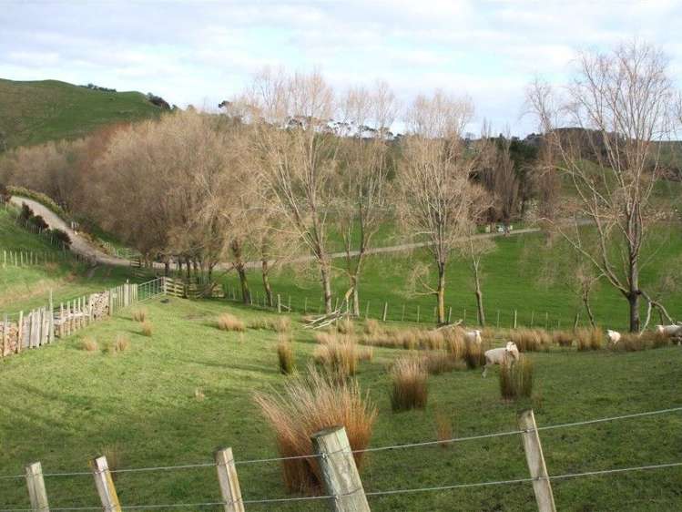 63 Waikupa Road Okoia_8