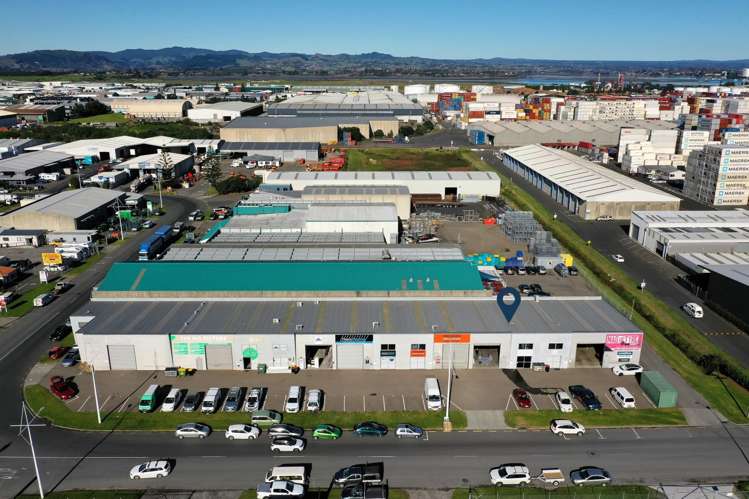 6/44 Triton Avenue Mt Maunganui_13