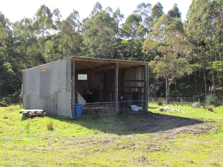 173 Luttrell Road Murupara Surrounds_18