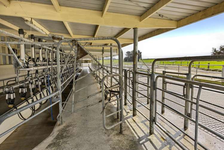 0n Ngarongo Road Normanby_17