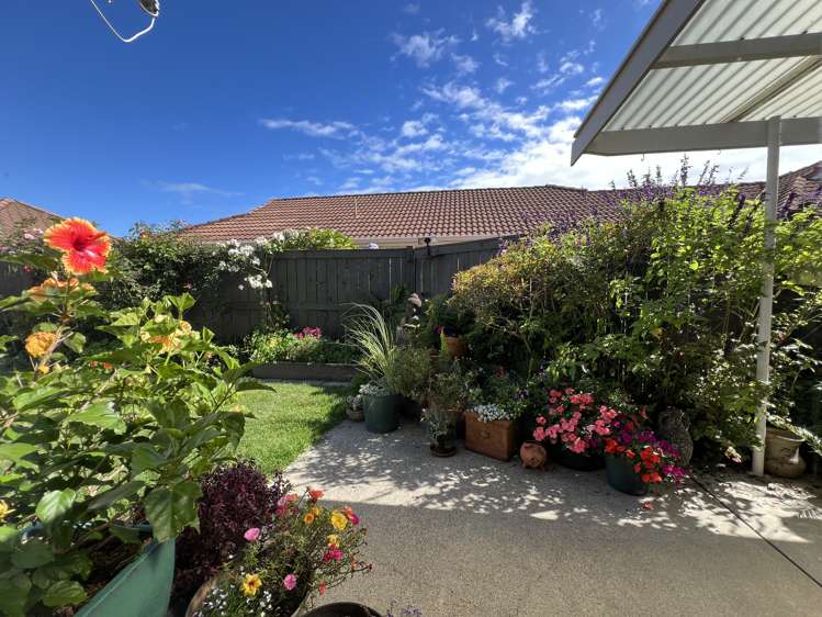 1/48 Stewart Street Whakatane_15