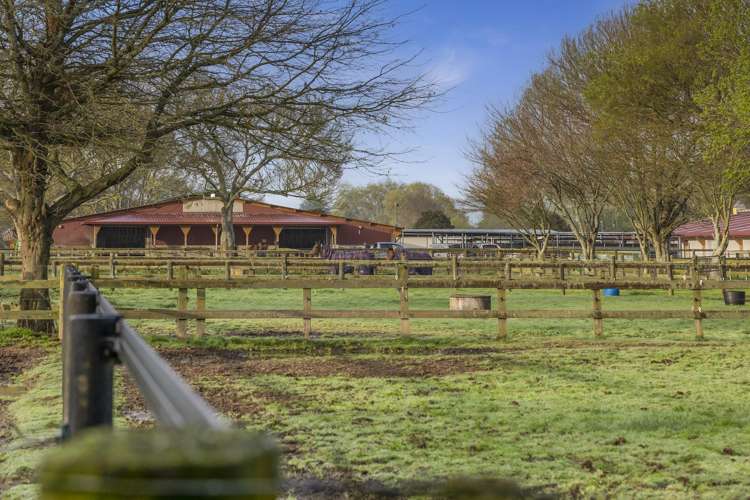 7519 State Highway 27 Matamata_9