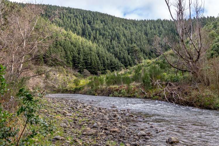 512 Mangatarere Valley Road Carterton_11