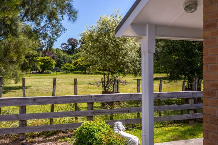 7 Orchard Road Greytown_21