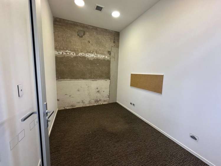 2 Dilworth Ave Remuera_5