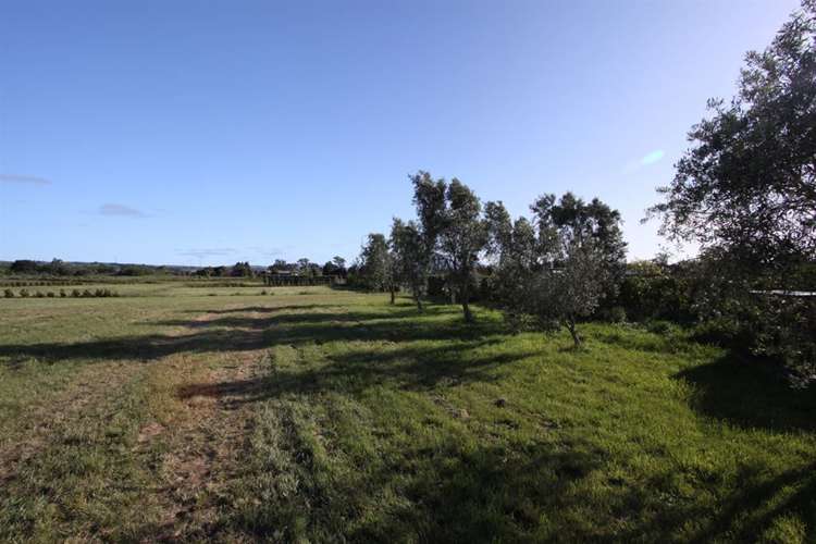 33 Burgundy Drive Martinborough_0